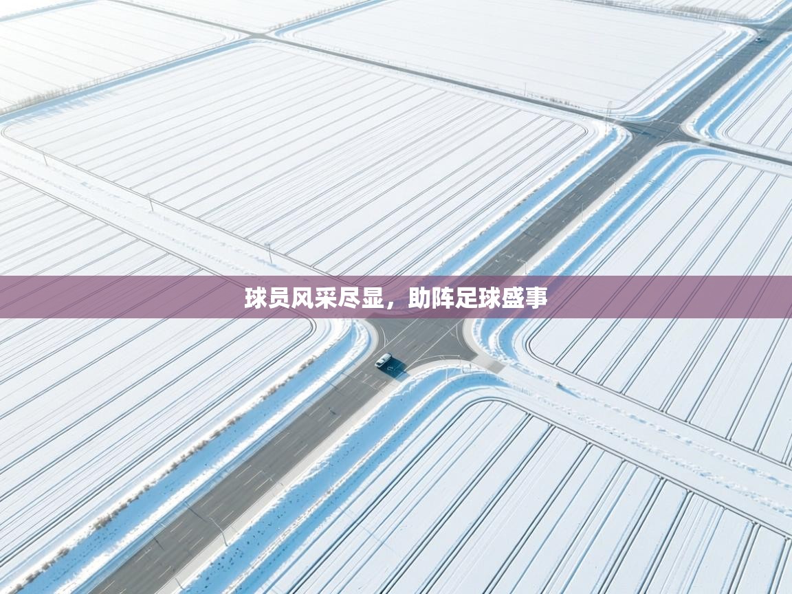 球员风采尽显，助阵足球盛事  第2张