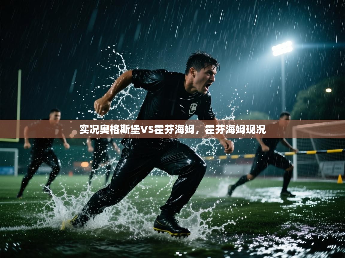 实况奥格斯堡VS霍芬海姆，霍芬海姆现况  第2张