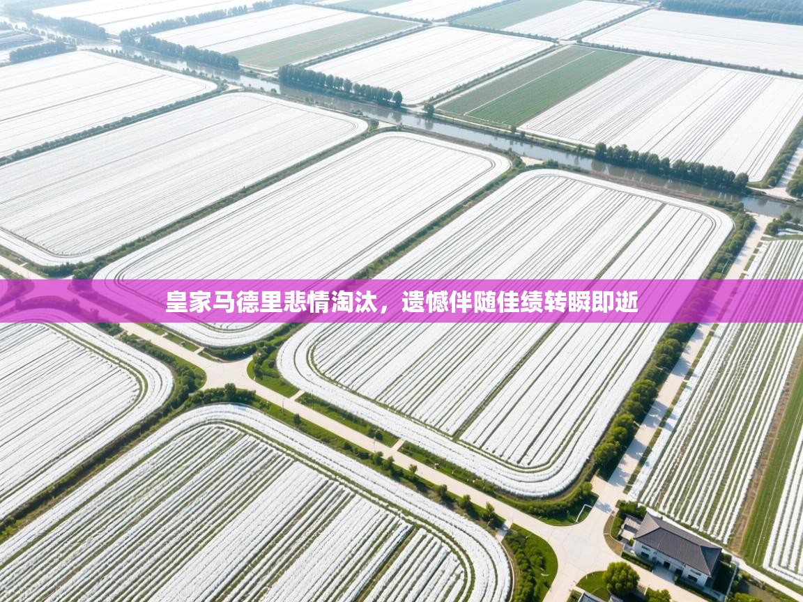 皇家马德里悲情淘汰，遗憾伴随佳绩转瞬即逝  第2张